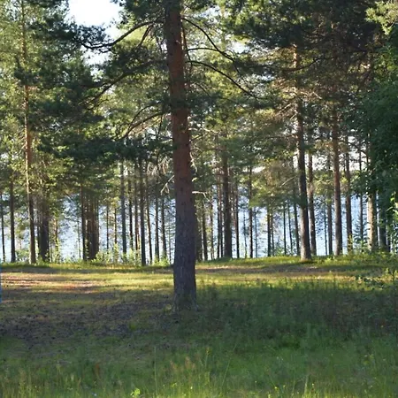 Soppela Retreat At The Arctic Circle * Kemijarvi