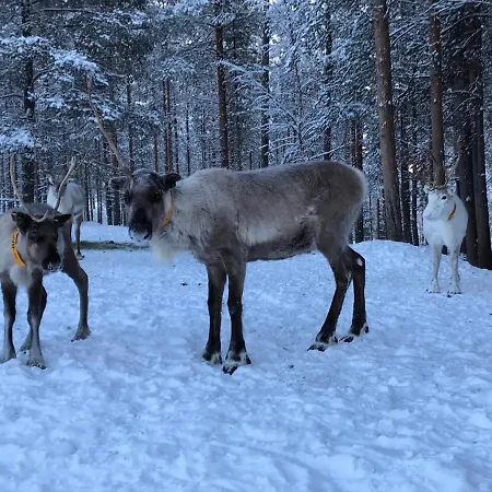 Daire Soppela Retreat At The Arctic Circle *