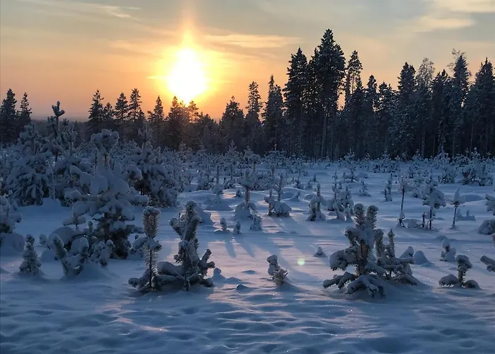 Soppela Retreat At The Arctic Circle * Kemijärvi